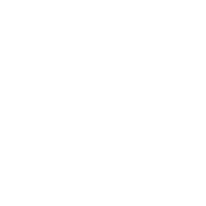 TEO Plus Icon